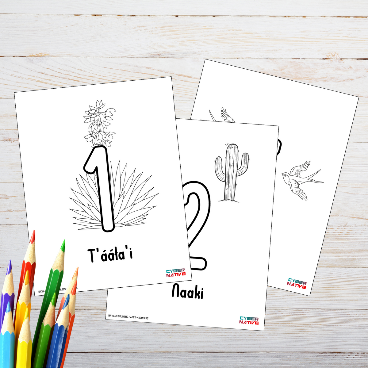 Numbers (Navajo Coloring Pages)