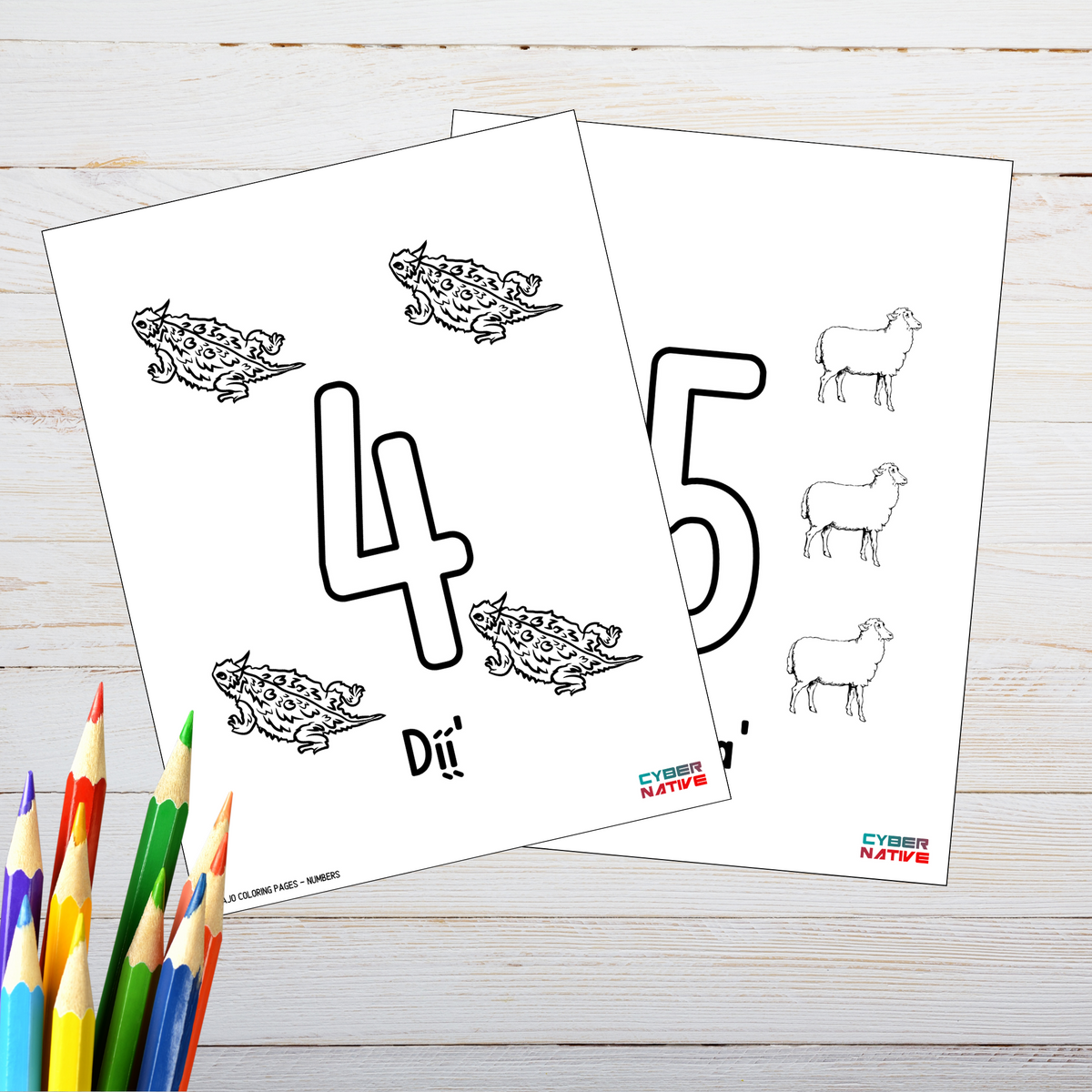 Numbers (Navajo Coloring Pages)