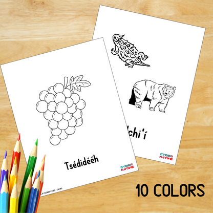Colors (Navajo Coloring Pages)